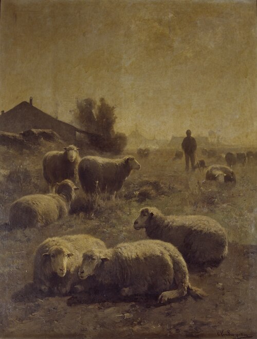 The Flock, , Cornelius Van Leemputten
