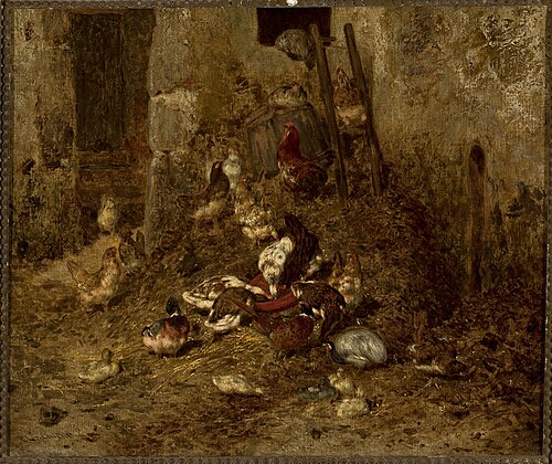Domestic fowl, 1801, Philibert Léon Couturier