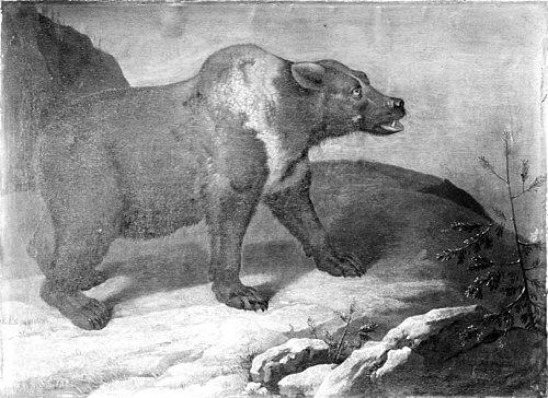 A Bear in a Winter Landscape, 1737, Philipp Ferdinand de Hamilton