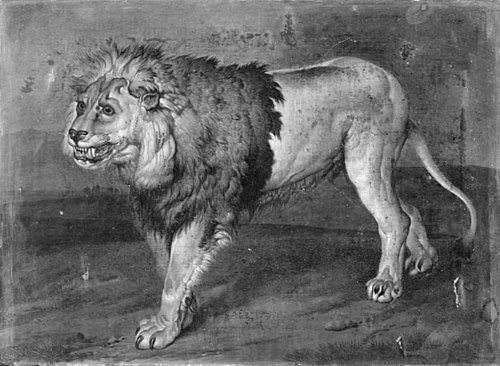 A Lion in a Landscape, 1714, Philipp Ferdinand de Hamilton