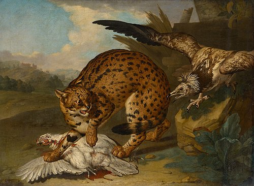 Leopard und Geier, 1722, Philipp Ferdinand de Hamilton