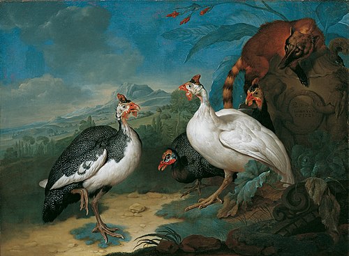 Perlhühner und Nasenbär, 1722, Philipp Ferdinand de Hamilton