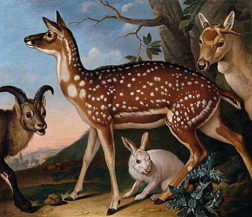 Damwild, Steinbock und Hase, 1723, Philipp Ferdinand de Hamilton