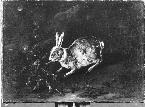 Kaninchen, 1707, Philipp Ferdinand de Hamilton