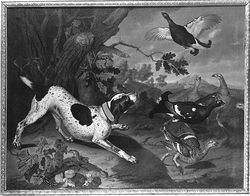 Hühnerjagd, 1707, Philipp Ferdinand de Hamilton