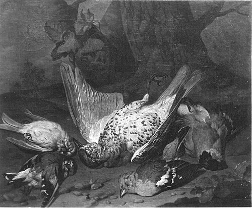 Vogeljagdbeute, 1731, Philipp Ferdinand de Hamilton