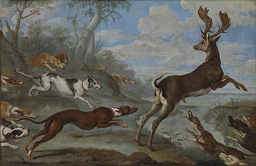 Hirschjagd, 1715, Philipp Ferdinand de Hamilton