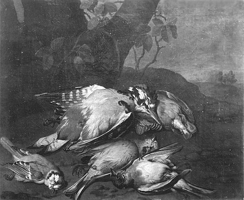 Vogeljagdbeute, 1731, Philipp Ferdinand de Hamilton