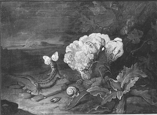 Kleines Getier, 1707, Philipp Ferdinand de Hamilton