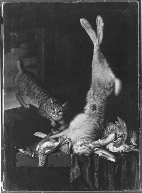 Speisekammer mit Katze und totem Getier, 1707, Philipp Ferdinand de Hamilton