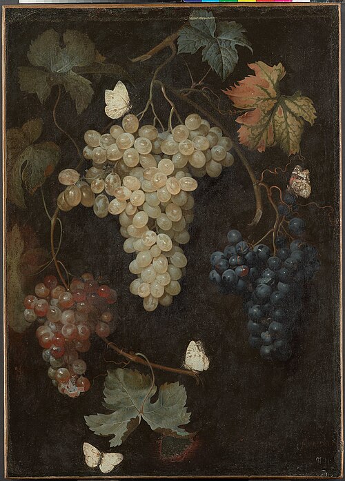 Weintrauben mit drei Trauben und Schmetterlingen, , Philipp Ferdinand de Hamilton