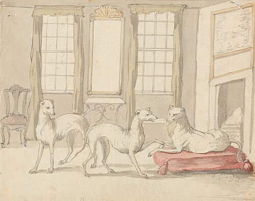 Three Greyhounds in a Room, , Pieter Casteels III