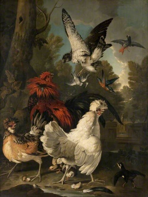 A Falcon Attacking Poultry, 1719, Pieter Casteels III
