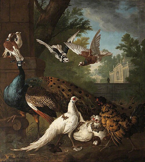 Birds in a Landscape, 1722, Pieter Casteels III