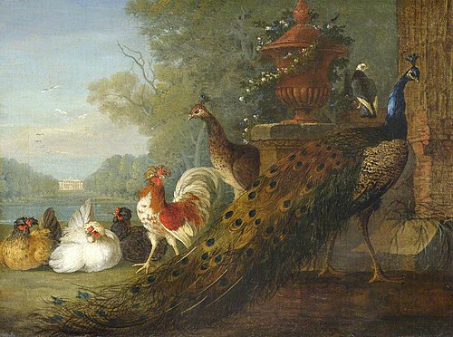 Peacock and Chickens, with a View of a House, 1731, Pieter Casteels III