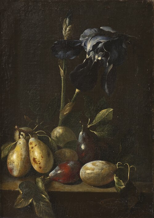 Still Life with an Iris and Plums, , Pietro Paolo Bonzi