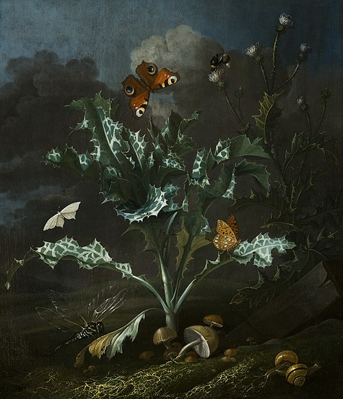 Thistles and Butterflies, 1660, Otto Marseus van Schrieck