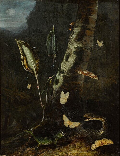 Forest Floor Still Life, With A Lizard, A Snake And Butterflies, 1665, Otto Marseus van Schrieck