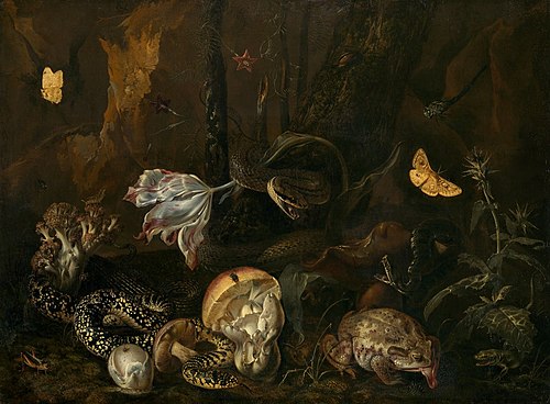 Nature morte avec insectes et amphibiens, 1662, Otto Marseus van Schrieck