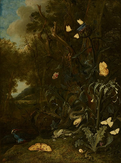 Plantes et insectes, 1665, Otto Marseus van Schrieck
