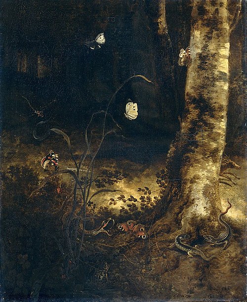 Sol de forêt avec un serpent, lézards, papillons et autres insectes, 1650, Otto Marseus van Schrieck