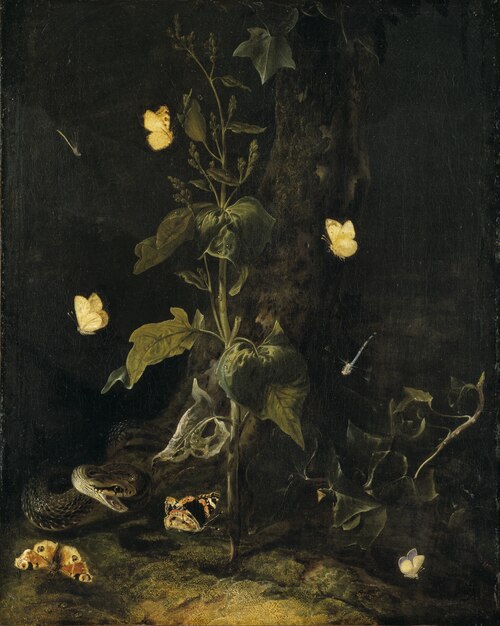 Serpent and Butterflies in the Woods, 1670, Otto Marseus van Schrieck
