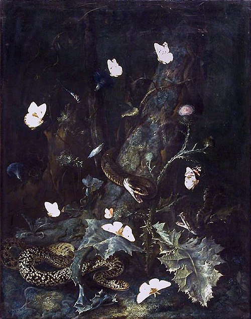 Serpents et papillons dans un sous-bois, 1676, Otto Marseus van Schrieck