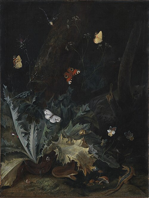A Forest Floor with a Thistle, a Snake, a Lizard and Butterflies, 1656, Otto Marseus van Schrieck