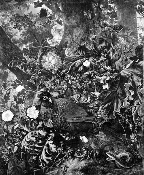 A Brooding Pheasant, 1656, Otto Marseus van Schrieck