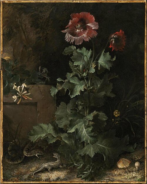 Nature morte avec lézard et serpent, 1670, Otto Marseus van Schrieck
