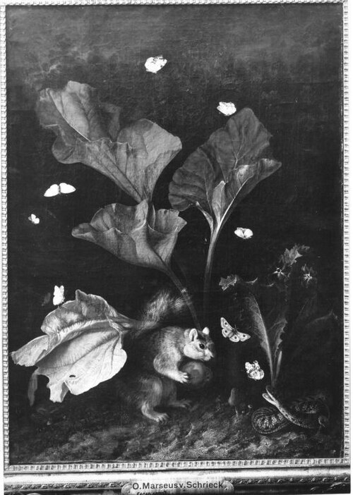 Forest floor still life with rodent, 1646, Otto Marseus van Schrieck