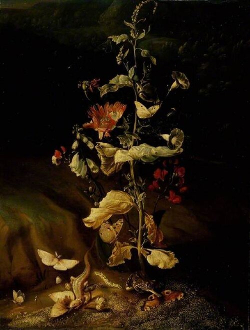 Nature morte de fleurs, 1650, Otto Marseus van Schrieck
