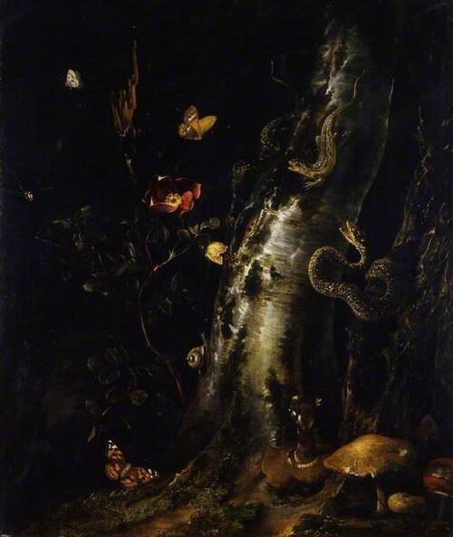 Silver birch trunk and branch with rose, lizards, a snake, toadstools, butterflies and a snail, , Otto Marseus van Schrieck