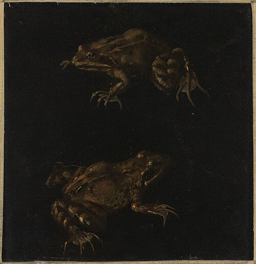 Two Brown Frogs, 1657, Otto Marseus van Schrieck
