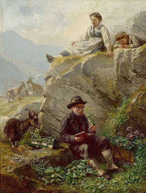 The Botanist, 1883, Raphaël Ritz