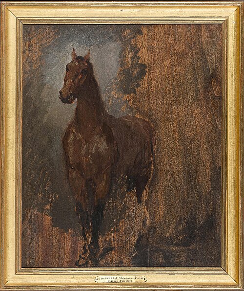 Cheval alezan de face. Étude., 1849, Théodore Chassériau