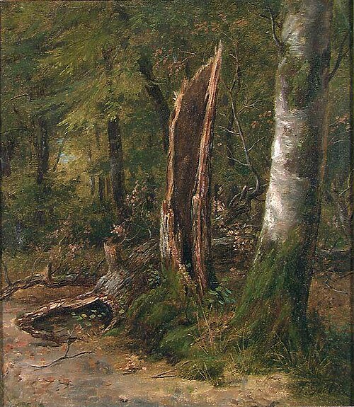 Study of Trees, 1900, Johan Gørbitz