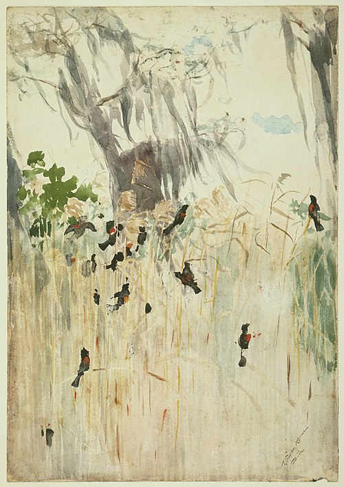 Red-Winged Blackbirds, 1886, Winslow Homer