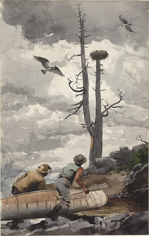 The Eagle's Nest, 1902, Winslow Homer