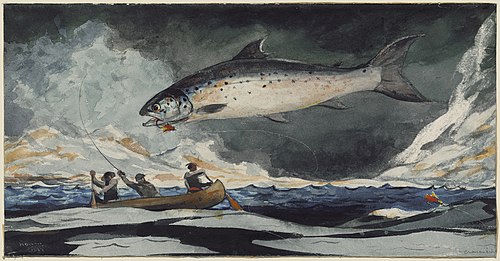 A good pool, Saguenay River, 1895, Winslow Homer