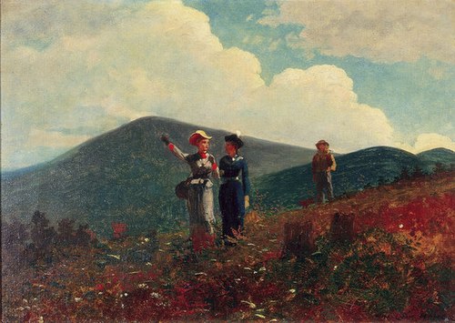 Beaver Mountain, Adirondacks; Minerva, New York, 1876, Winslow Homer
