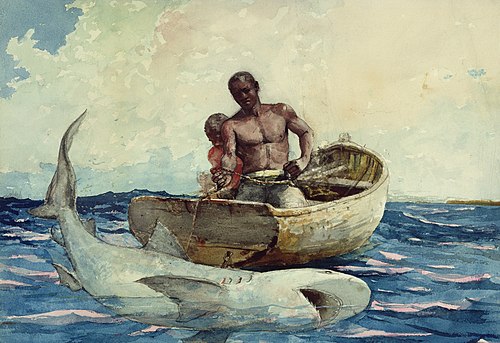 Shark Fishing, 1885, Winslow Homer