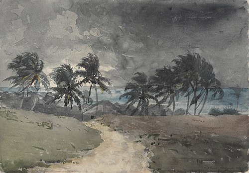 Storm, Bahamas, 1885, Winslow Homer