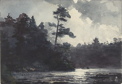 Adirondack Lake, 1889, Winslow Homer