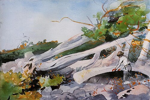 Guide Hiding a Canoe Under a Windfall, 1897, Winslow Homer