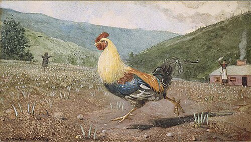 The Rooster, 1875, Winslow Homer