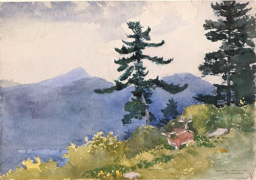 North Woods Club, Adirondacks, 1892, Winslow Homer