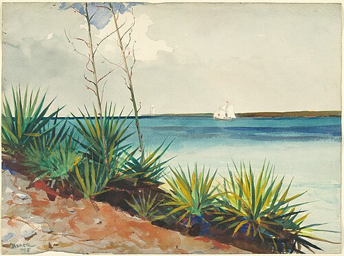 Spanish Bayonets, 1885, Winslow Homer