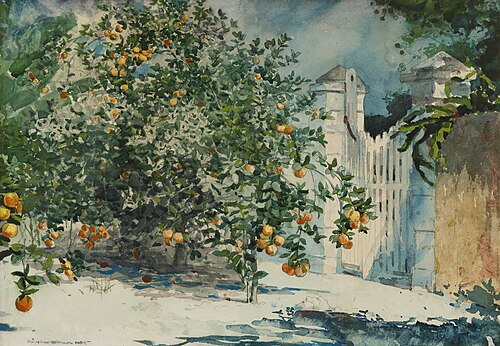 Orange trees and gate, 1885, Winslow Homer