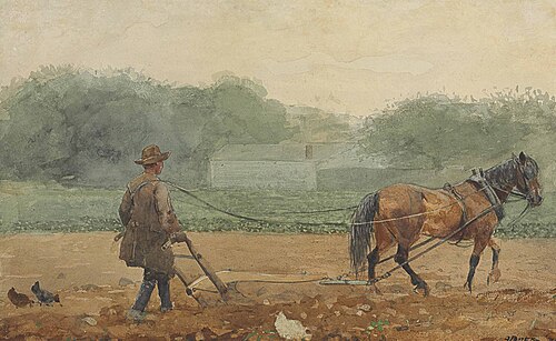 The Plowman, 1878, Winslow Homer